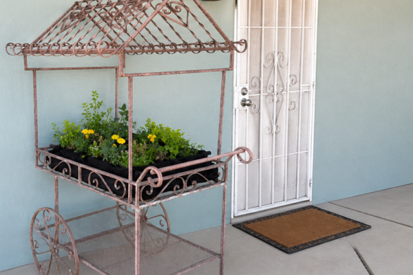 Gardening Doesn’t Have to Hurt: 10 Ways to Reduce Strain in the Garden