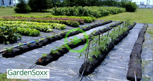 GardenSoxx® as a Low-Cost Solution for Community-Supported Agriculture Projects