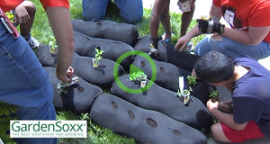 The Cultural Benefits of Growing Crops with GardenSoxx®