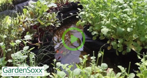 GardenSmart TV - Building an Above-Ground GardenSoxx® Pond