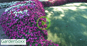 Recycling Old GardenSoxx® into a New Landscape