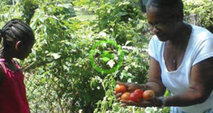 The Family Garden Initiative Serves Elyria Over 1000 GardenSoxx® Gardens