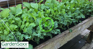 Cleaning Up a GardenSoxx® Raised Bed to Prepare it for Seeding