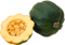 Comment faire pousser de la courge poivrée