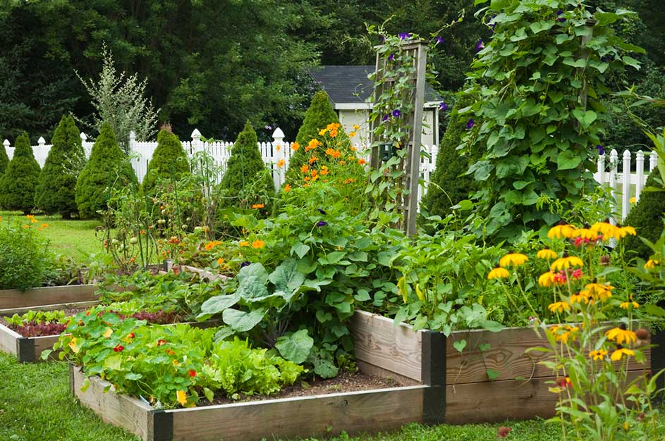 Kaytonik® Organic Soil Amendment