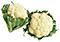 Chou-fleur