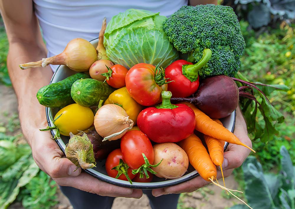 Kaytonik® Organic Soil Amendment