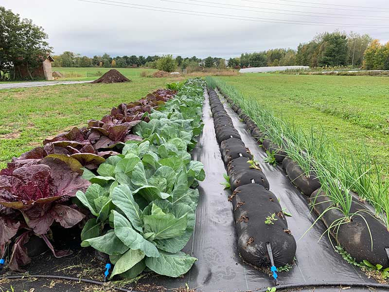 GardenSoxx® Commercial Sized Rolls