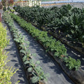 Trousse GardenSoxx®