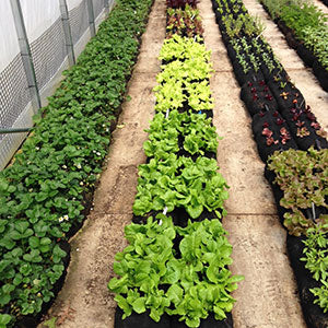 GardenSoxx® Commercial Sized Rolls