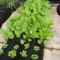 Trousse GardenSoxx®