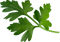 Persil
