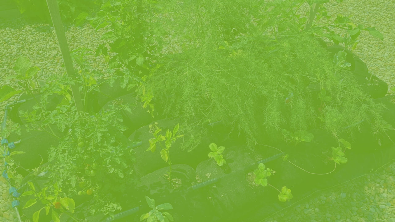 Load video: GardenSoxx® Kit