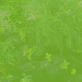 Trousse GardenSoxx®
