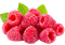 Framboises