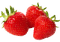 Fraises