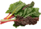 Bette à carde