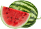 Melon d'eau