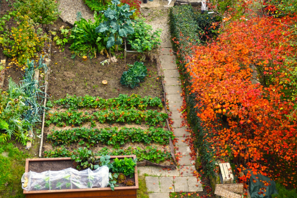 What Happens to Garden Soil in Winter?