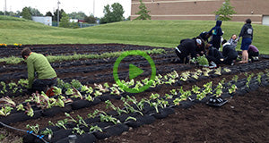A Cleveland Food Bank's Simple Solution for Self-Reliance Using GardenSoxx