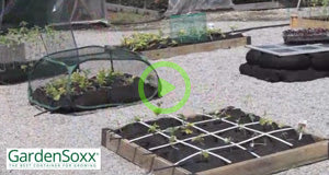 GardenSmart TV - Comparisons of 4x4 Gardens using GardenSoxx®