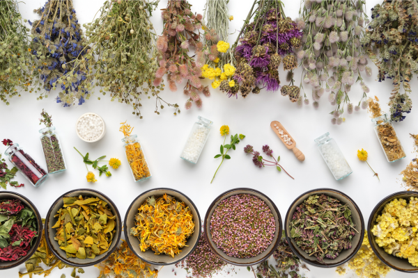 The Wellness Garden: Edible Medicinal Plants for the Home Grower
