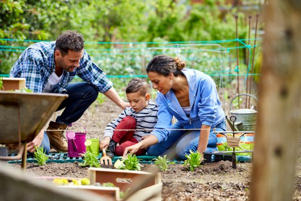 Gardening Made Easy: Tips for the First Time Gardener