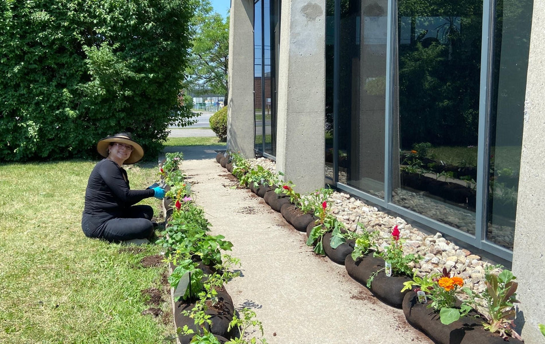 Gardening Made Easy: Tips for the First Time Gardener