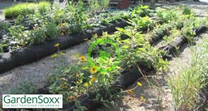 GardenSmart TV - Exploring the Use of GardenSoxx® for Permaculture