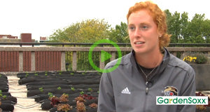 SIUE - Spring Rooftop Research Garden