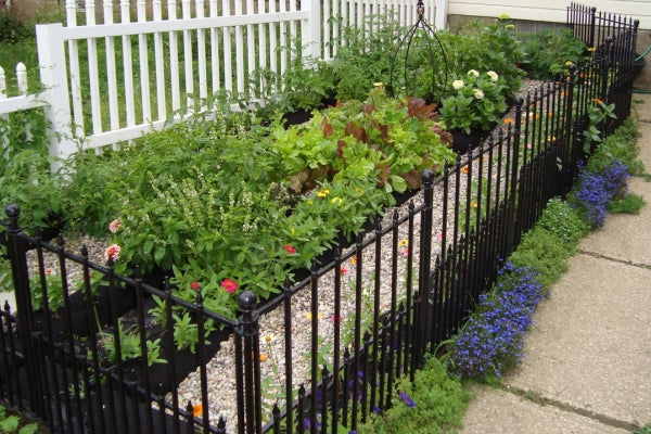 The Hybrid Gardening System That Will Change the Way You Grow