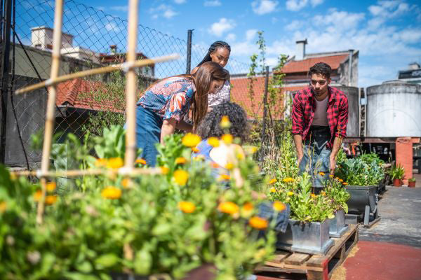 The Urban Gardener: A Guide to Small Space Vegetable Gardening