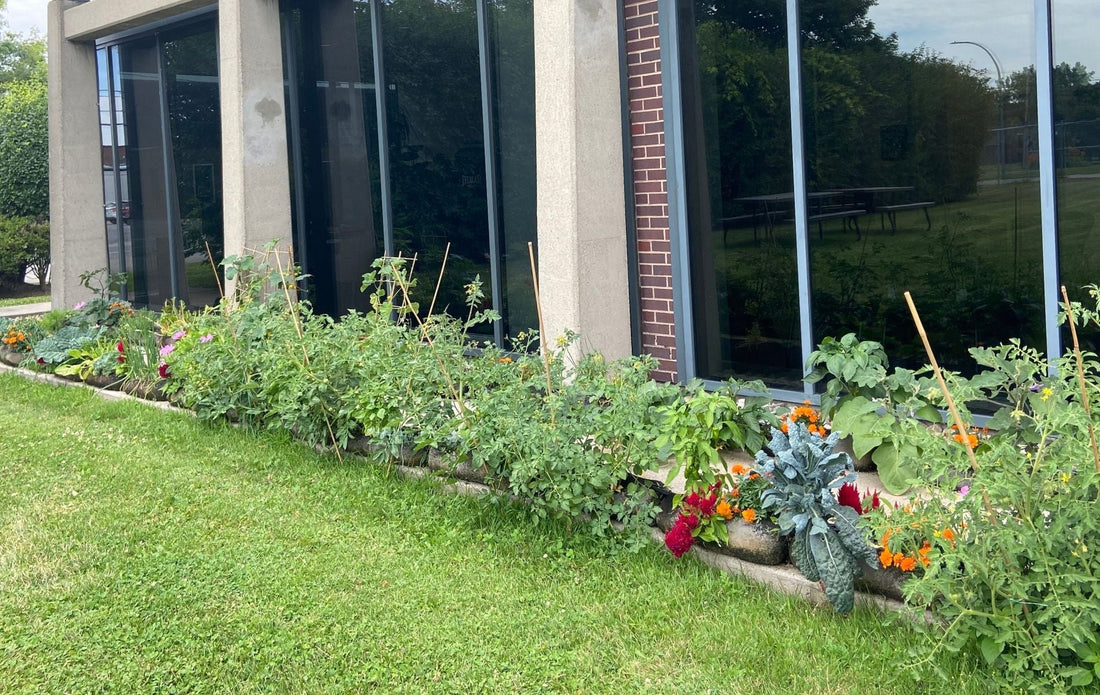 The Urban Gardener: A Guide to Small Space Vegetable Gardening