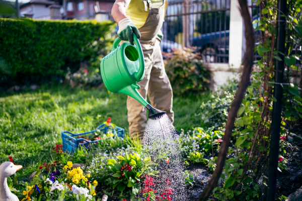 How Much Water Does Your Garden Actually Need?