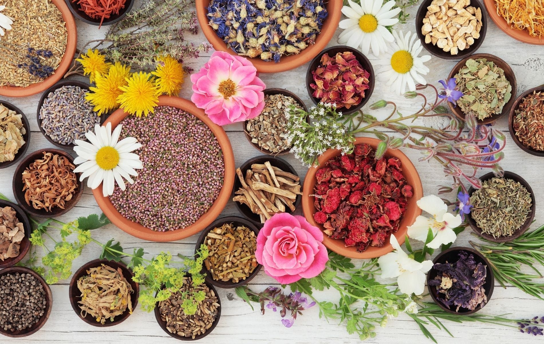 The Wellness Garden: Edible Medicinal Plants for the Home Grower
