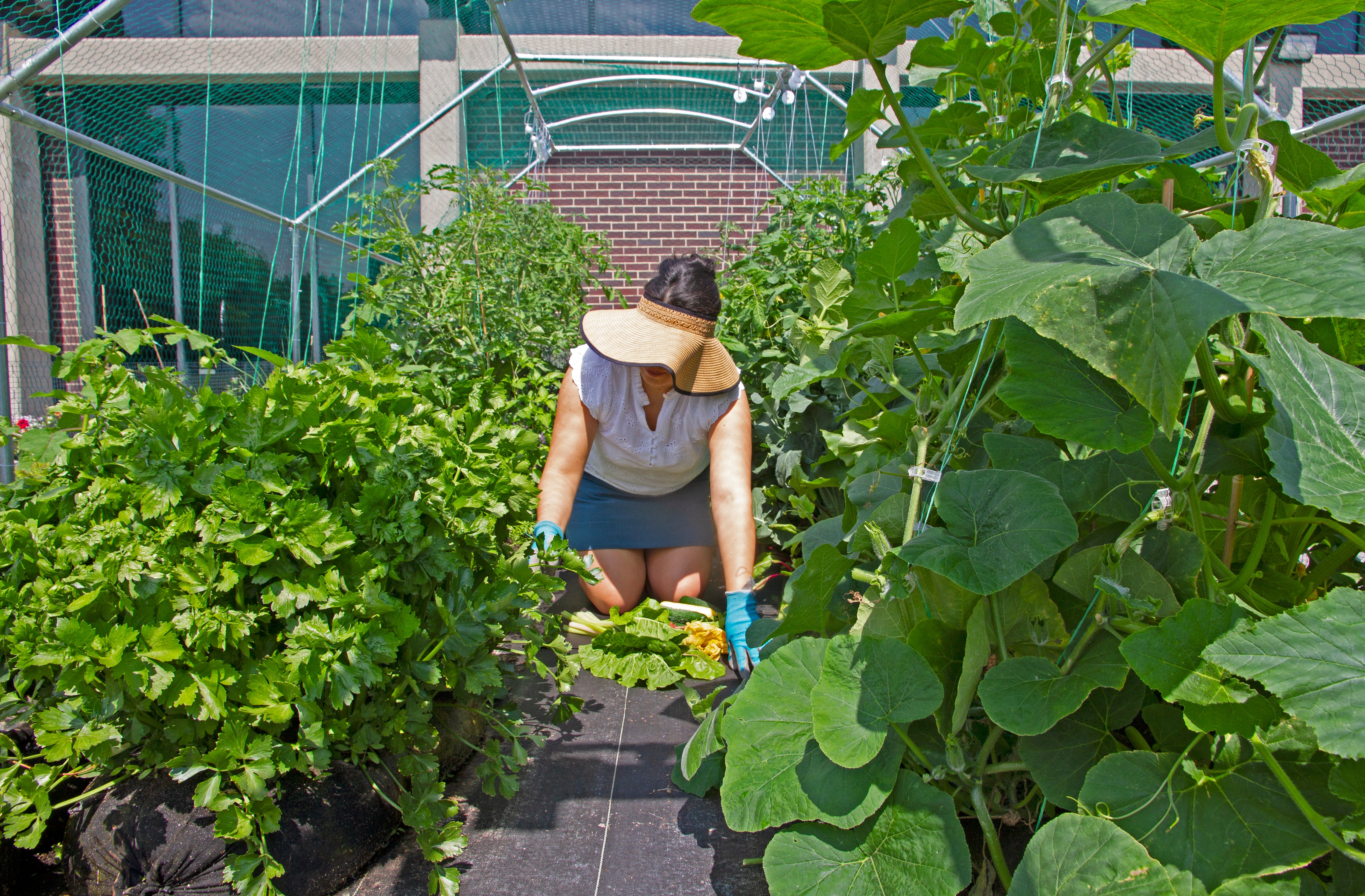 Grow Easily, Anywhere With GardenSoxx – GardenSoxx® Official Site
