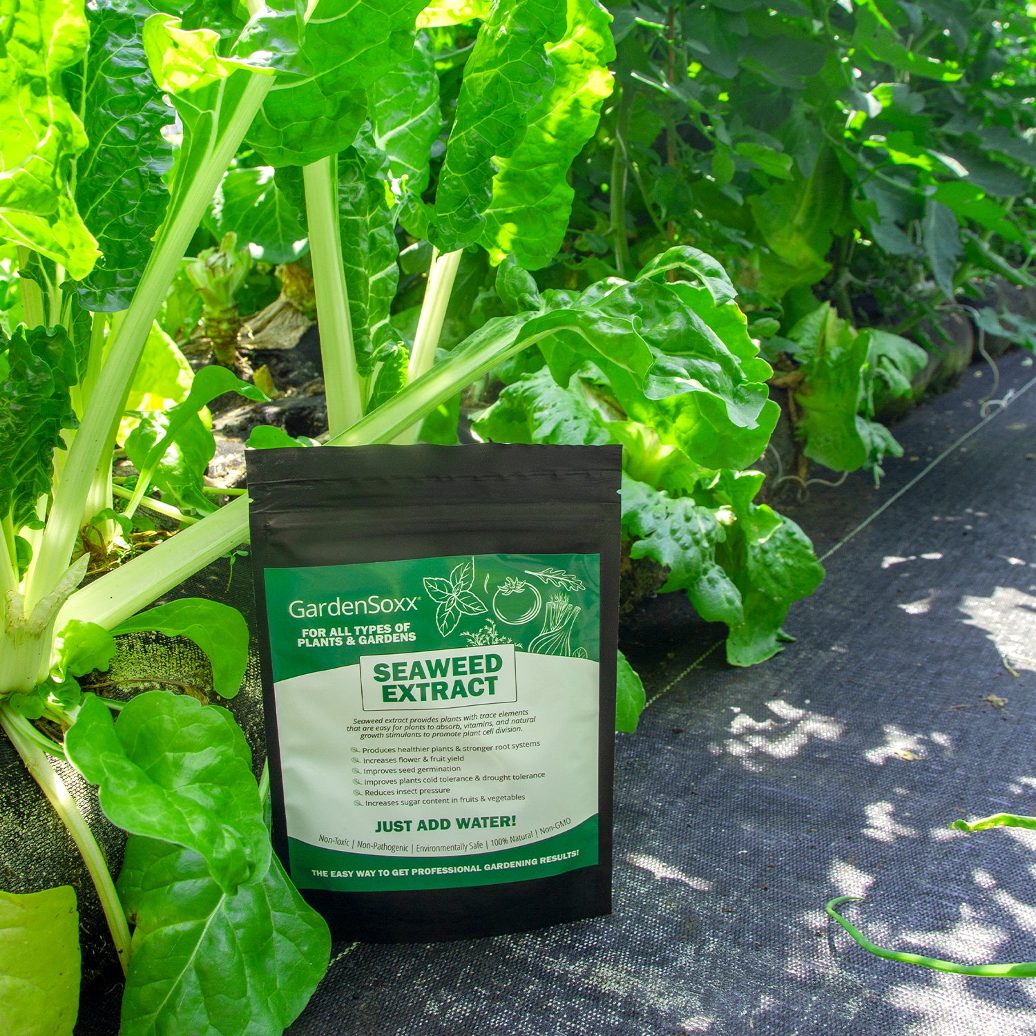 GardenSoxx® Seaweed Extract