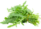 Roquette