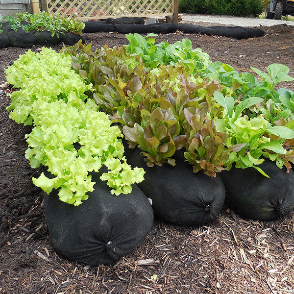 grow bags for plants GardenSoxx® Kit