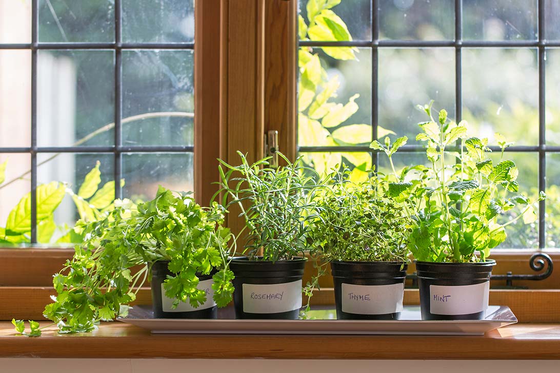 Kaytonik® Organic Soil Amendment